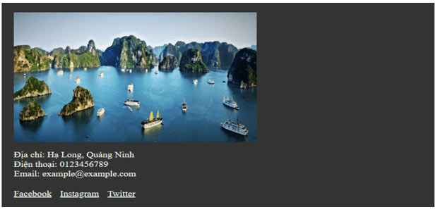 Tạo văn bản, chèn hình ảnh và tạo chân trang