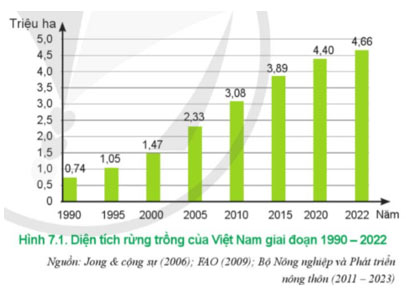 Thực trạng trồng, chăm sóc, bảo vệ và khai thác rừng