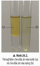 Hình 26.2