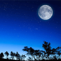 Soạn bài Đêm trăng và cây sồi Cánh diều