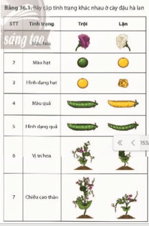 Các quy luật di truyền của Mendel