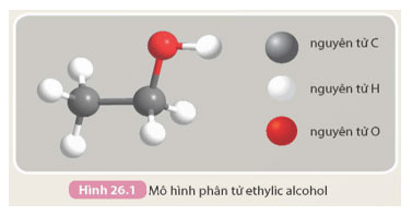 Ethylic alcohol