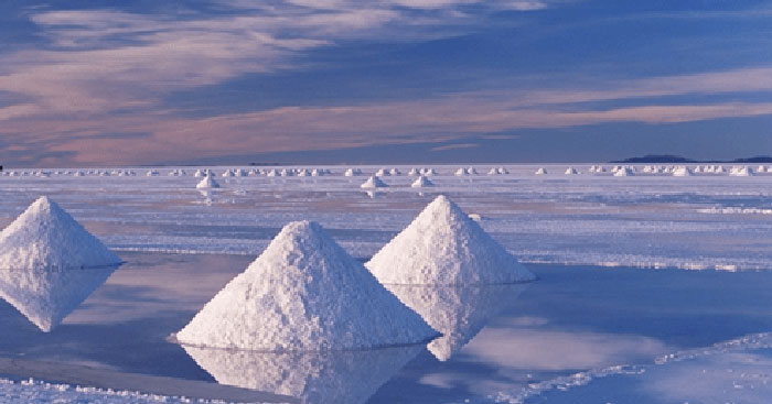 Văn bản Đời muối