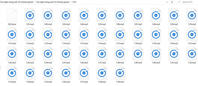 File nghe Tiếng Anh 12 Friends Global