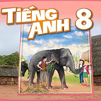 Kế hoạch giáo dục môn Tiếng Anh 8 sách Kết nối tri thức (Có năng lực số)