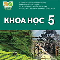Giáo án Khoa học 5 sách Kết nối tri thức với cuộc sống (Cả năm)