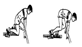 Giáo án Giáo dục thể chất 9 sách Cánh diều