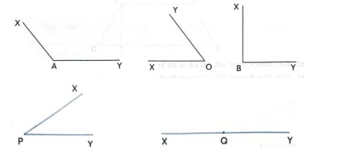 Toán 4 Kết nối tri thức