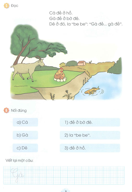 Phiếu bài tập cuối tuần môn Tiếng Việt 1 sách Cánh diều