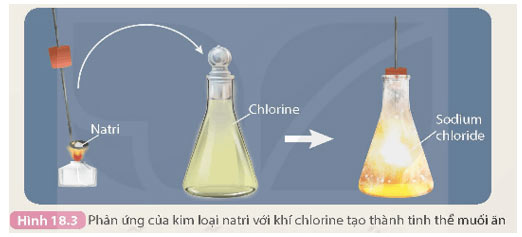 Hình 18.3