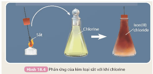 Hình 18.3