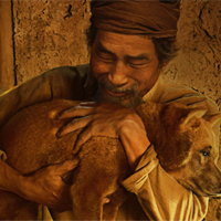 Viết bài văn nghị luận so sánh đánh giá hai tác phẩm truyện Chí Phèo và Lão Hạc