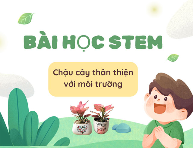 PowerPoint STEM Chậu cây thân thiện với môi trường