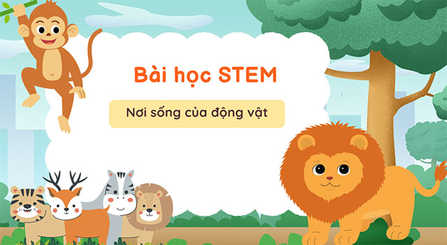 PowerPoint STEM Nơi sống của động vật