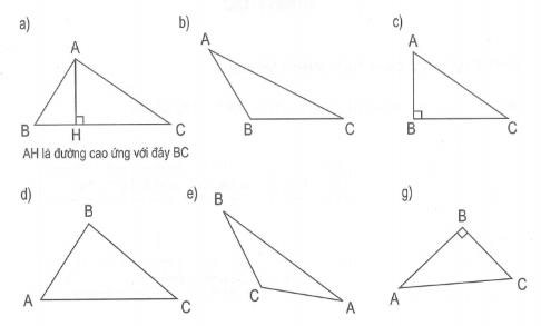 Bài tập hình tam giác cơ bản