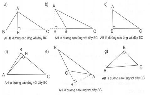 Bài tập hình tam giác cơ bản