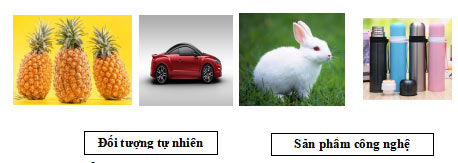 Đề thi học kì 1 môn Công nghệ 3