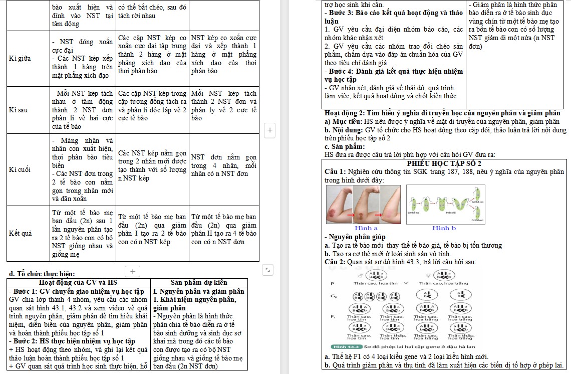 Giáo án KHTN 9 Bài 43 file word