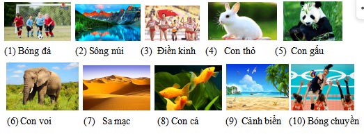 Đề thi học kì 1 môn Tin học 3