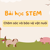 PowerPoint STEM Chăm sóc và bảo vệ vật nuôi