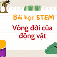 PowerPoint STEM Vòng đời của động vật