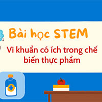 PowerPoint STEM Vi khuẩn có ích trong chế biến thực phẩm