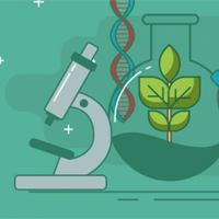  Đề cương ôn tập học kì 1 môn Sinh học 12 sách Cánh diều