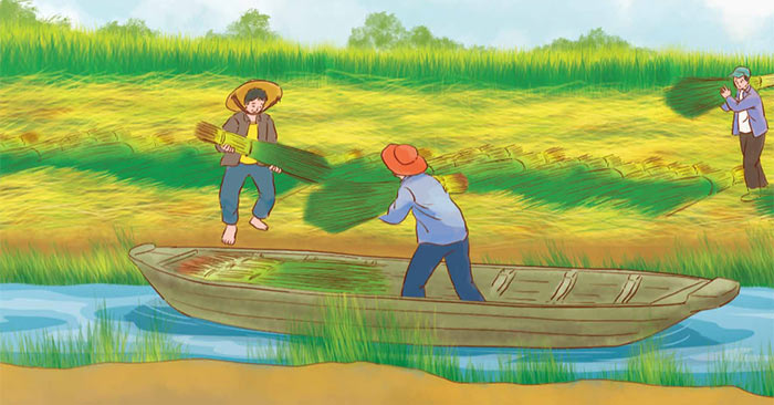 Từ những cánh đồng xanh