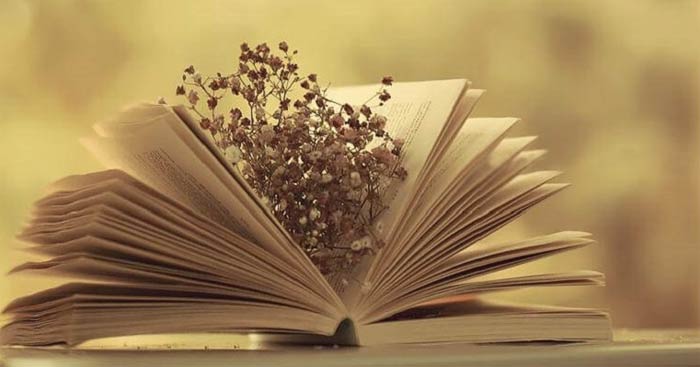 Viết báo cáo kết quả của bài tập dự án