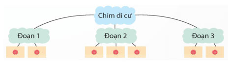 Lập sơ đồ cấu trúc