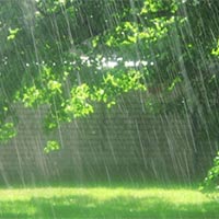 Phân tích bài thơ Nhớ cơn mưa quê hương của Lê Anh Xuân