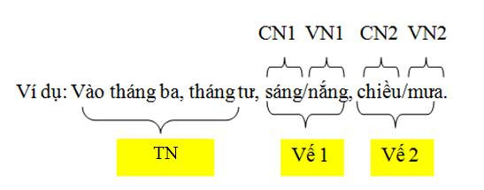 Bài tập xác định câu đơn và câu ghép Bài tập Tiếng Việt lớp 5