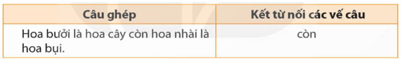 Luyện từ và câu: Cách nối các vế câu ghép – Tiếng Việt 5 Kết nối tri thức Tiếng Việt lớp 5 Kết nối tri thức tập 2 Bài 3
