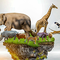 Tiếng Anh 12 Unit 8: Writing