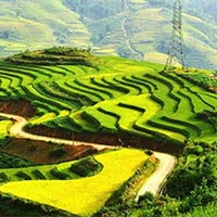 Phân tích bài thơ Cảm ơn đất nước của Huỳnh Thanh Hồng