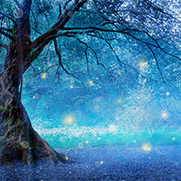 Em thích nhất hình ảnh, nhân vật hoặc sự việc nào trong đoạn trích Đêm trăng và cây sồi