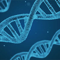 Giáo án PowerPoint Khoa học tự nhiên 9 Bài 36: Các quy luật di truyền của Mendel