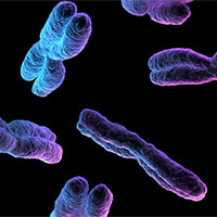 Giáo án PowerPoint Khoa học tự nhiên 9 Bài 34: Từ gene đến tính trạng