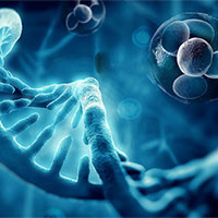 Giáo án PowerPoint Khoa học tự nhiên 9 Bài 36: Nguyên phân và giảm phân