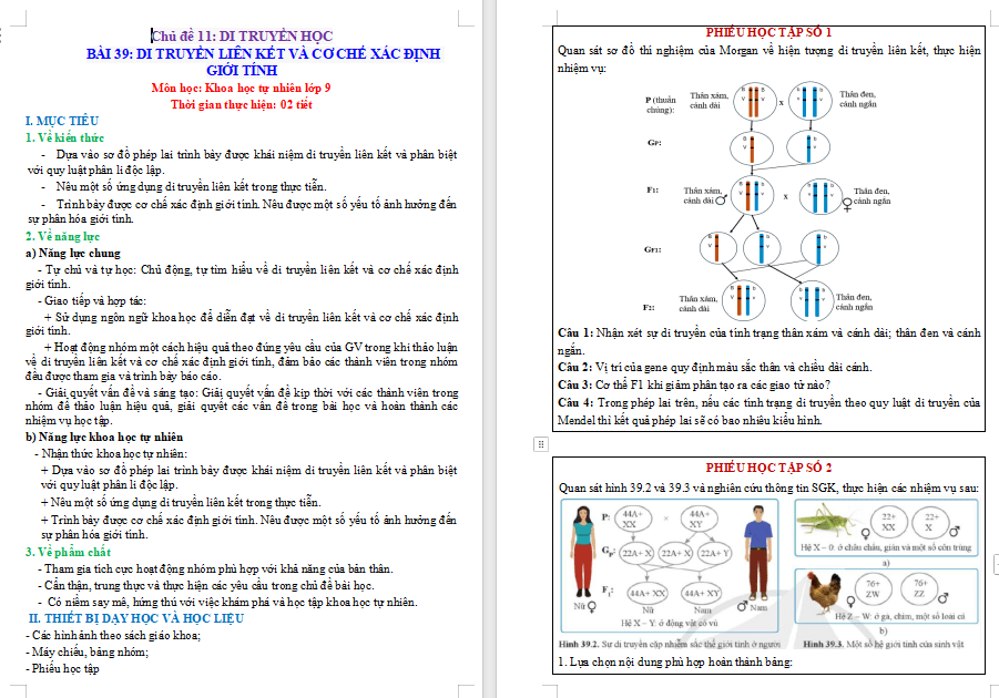 Giáo án PowerPoint Khoa học tự nhiên 9 Bài 39: Di truyền liên kết và cơ chế xác định giới tính Giáo án KHTN 9 Cánh diều (Word + PPT)