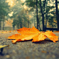 Phân tích bài thơ Cuối thu của Hàn Mặc Tử