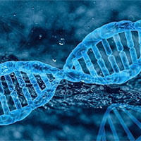 Giáo án PowerPoint Khoa học tự nhiên 9 Bài 41: Ứng dụng công nghệ di truyền vào đời sống 