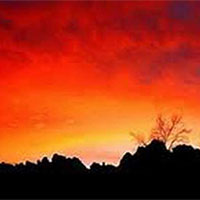 Phân tích bài thơ Cuộc chia ly màu đỏ của Nguyễn Mỹ