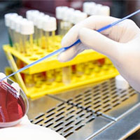 Giáo án PowerPoint Khoa học tự nhiên 9 Bài 29: Polymer