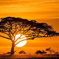 Phân tích bài thơ Hoàng hôn lặng lẽ của Hoài Vũ