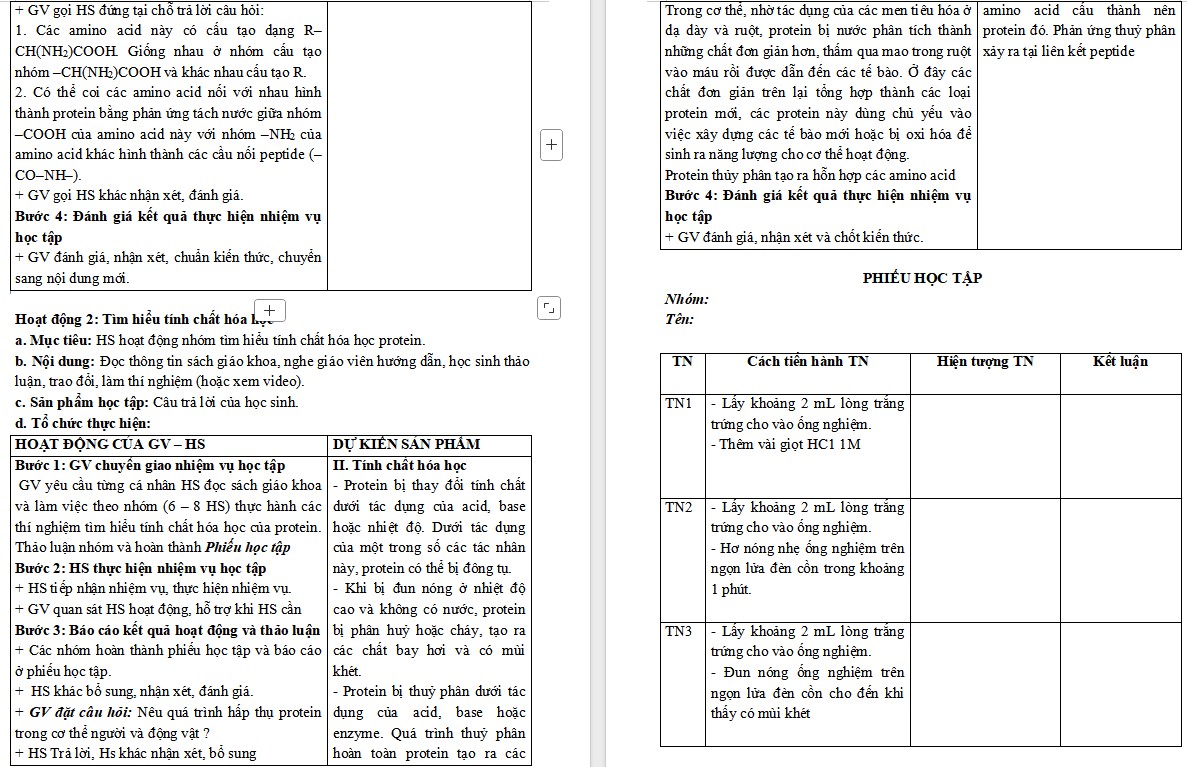Giáo án Hóa học 9 Bài 31 Protein