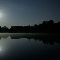 Phân tích bài thơ Đà Lạt trăng mờ của Hàn Mặc Tử