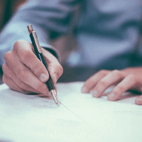 Viết đoạn văn tả cây bưởi (3 mẫu)