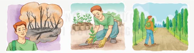 Nói về những việc Mát đã làm