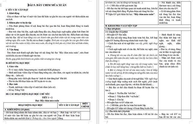 Giáo án Tiếng Việt 5 Bầy chim mùa xuân